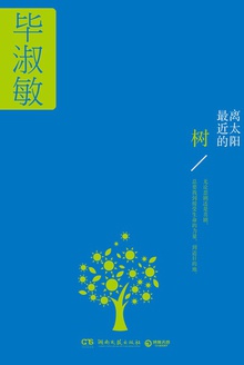 离太阳最近的树在线阅读