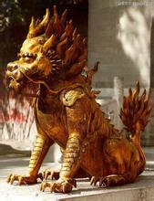 神兽之爪在线阅读