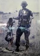 残酷的视野在线阅读