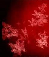 阿势登场在线阅读