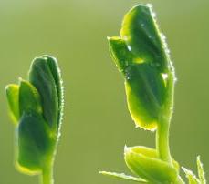 励志人生在线阅读