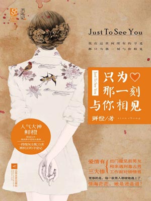 只为那一刻与你相见在线阅读