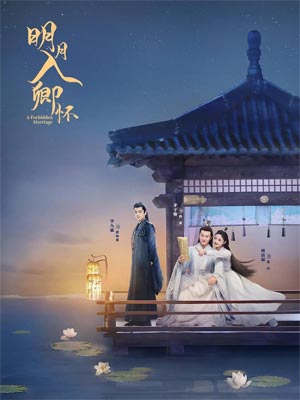 师叔你这样很容易失去我（明月入卿怀）